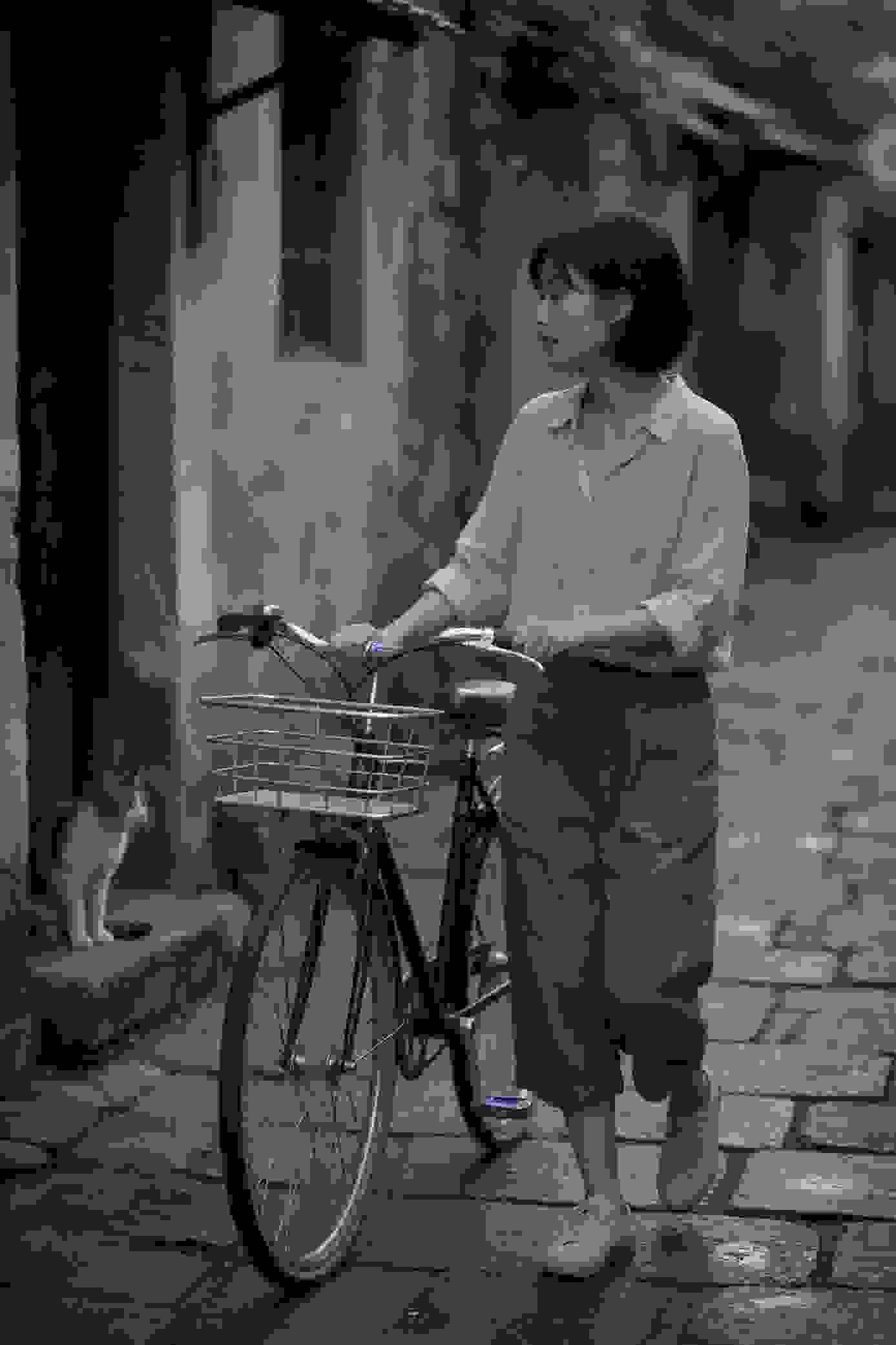 陈冬冬代表作